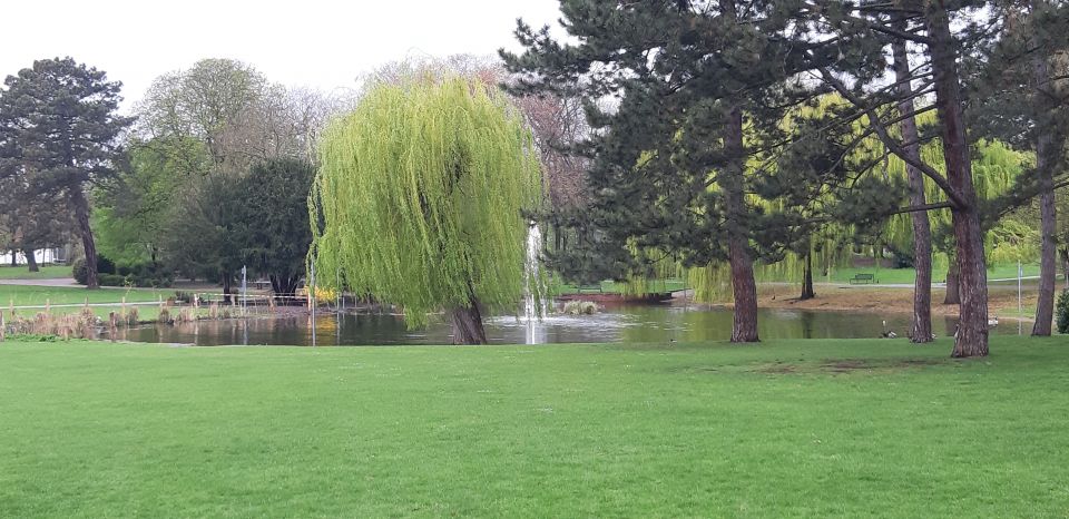Park mit Teich