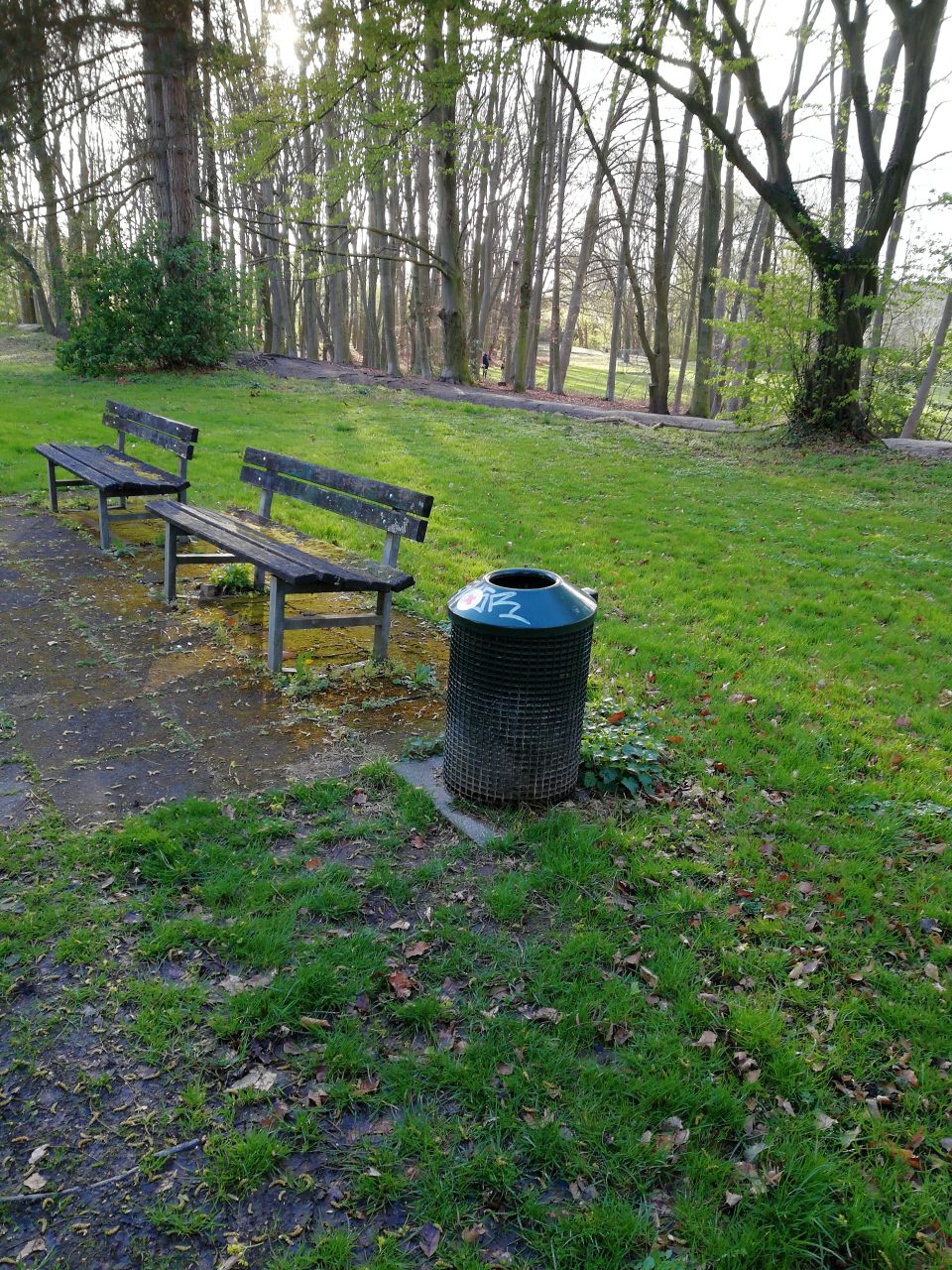 Rasenfläche, auf der zwei Bänke und ein Mülleimer stehen. Im Hintergrund stehen Bäume.