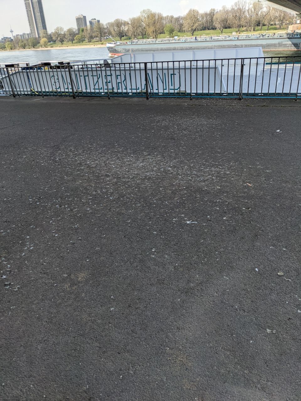 Taubenkot auf Rheinprommenade