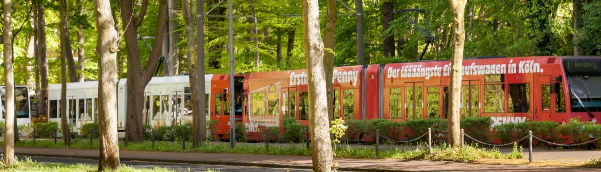 Die Stadtbahn 5 ist zusehen mit Bäumen am Streckenrand.