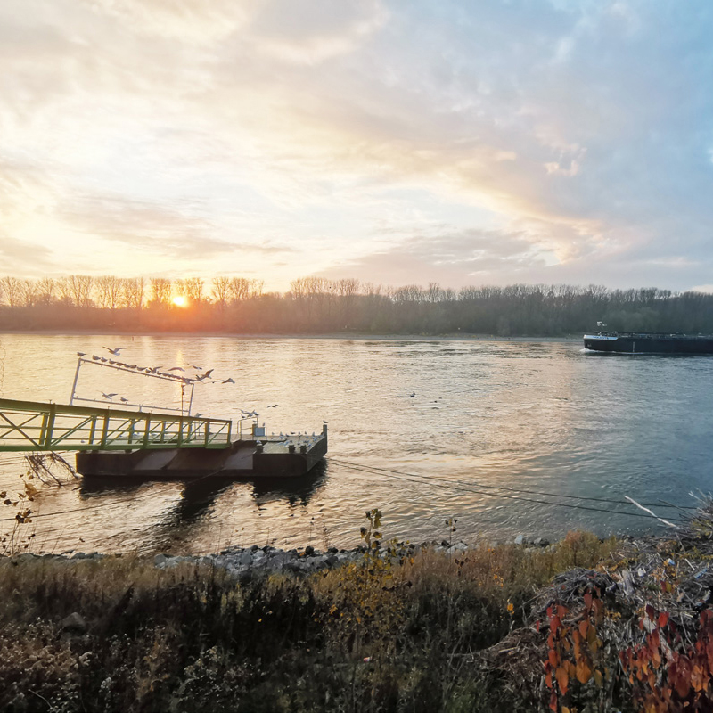 Anleger mit Frachtschiff im Hintergrund