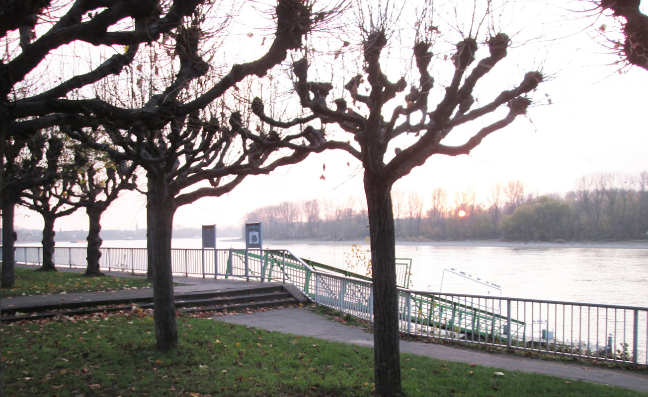 Anlegestelle mit Allee im Vordergrund