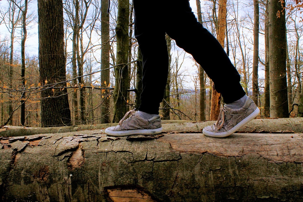 Beine einer Person, die auf einem horizontal liegenden Baum im Wald balancieren.