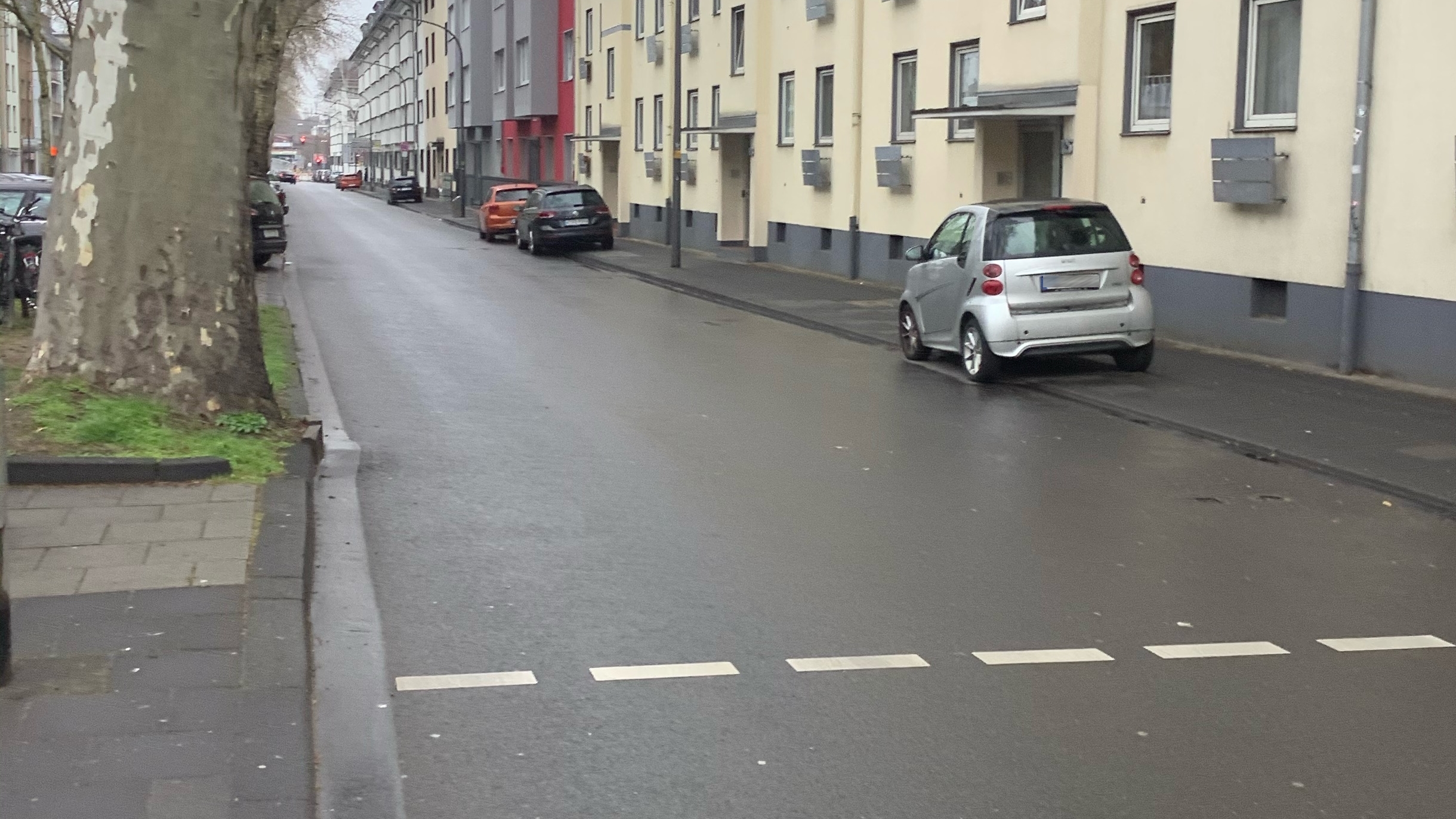 Ein Foto einer Straße, auf der rechten Seite parken einige PKW, auf der linken Seite sind Bäume zu sehen.