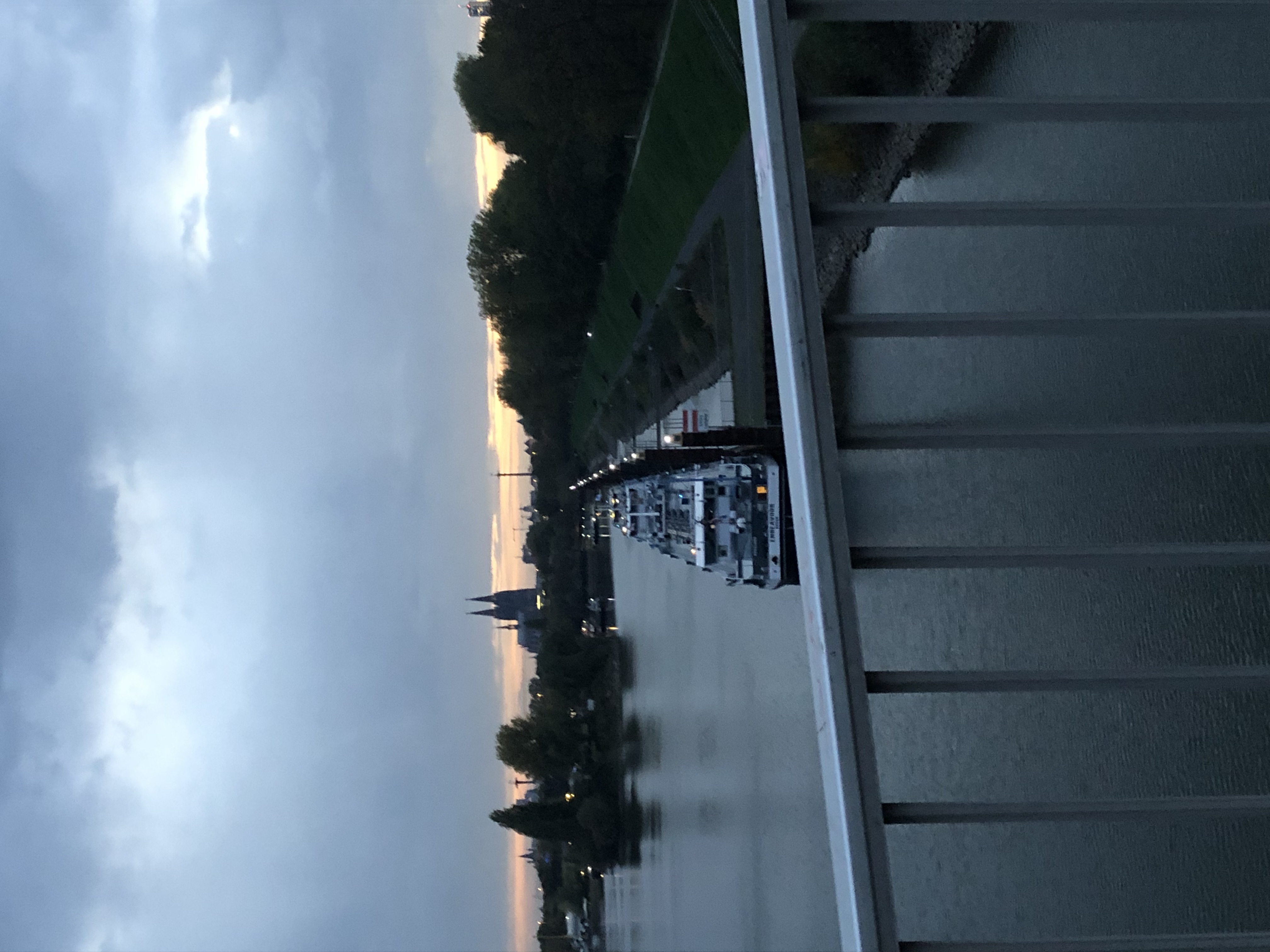 Blick von der Katzenbuckelbrücke über den Rhein