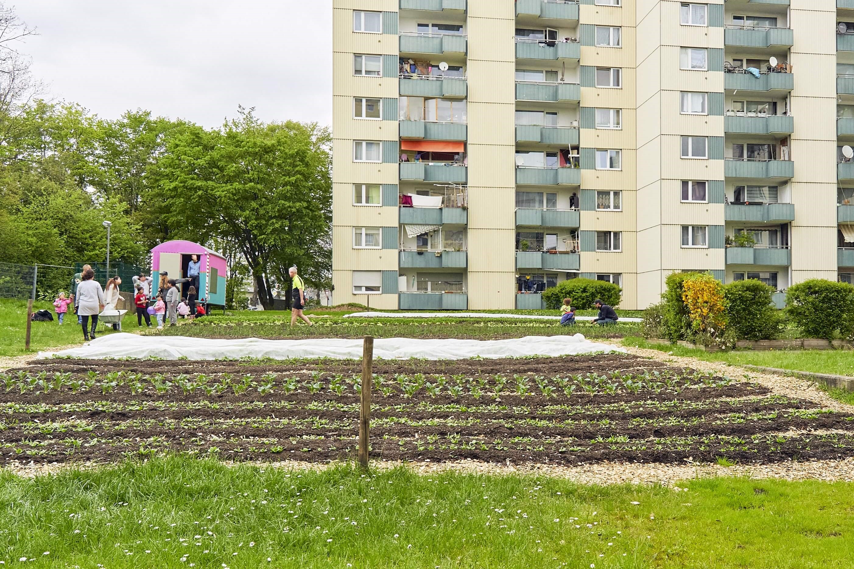 Ein Erntefeld befindet sich direkt vor einem Hochhaus.Kinder und Eltern sind aktiv.