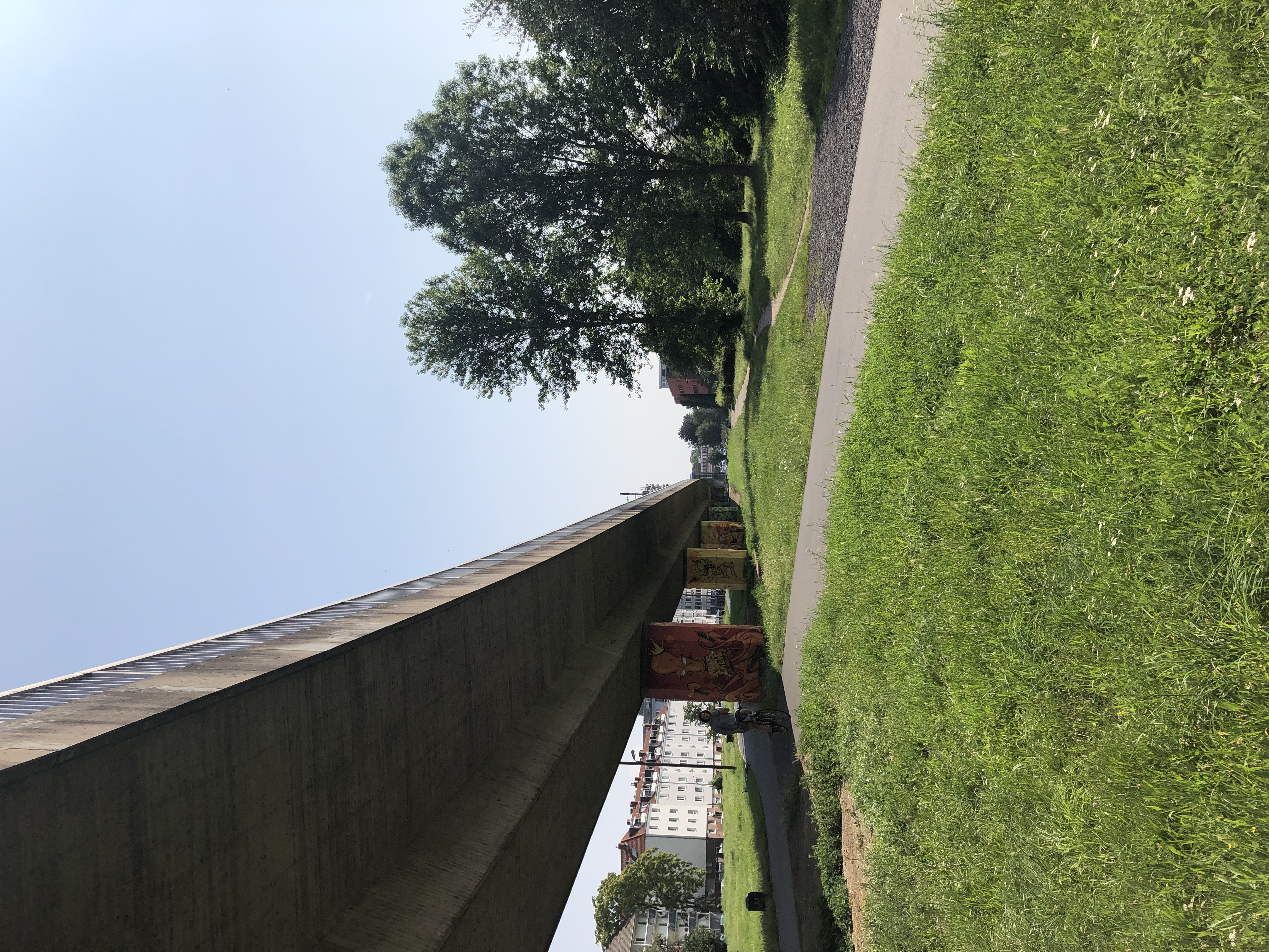 Wiese mit Bahnübergang auf Brücke