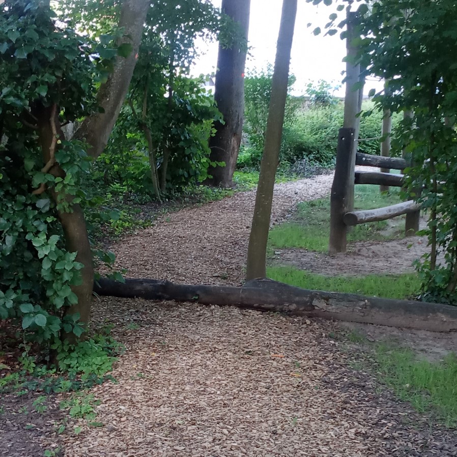 Waldweg mit Hindernissen 